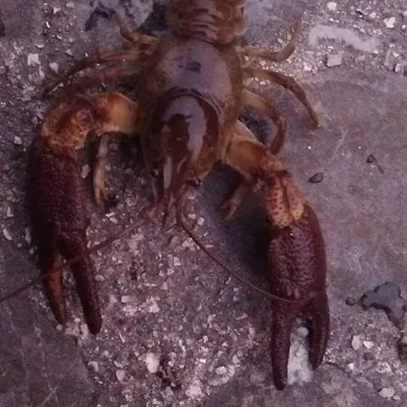 Casa Delle Risorgive * Venzone