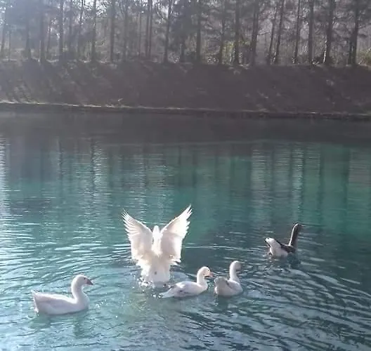 Guest house Casa Delle Risorgive